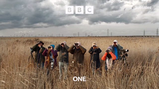 2021 version of the BBC One Birdwatchers ident with the new BBC corporate logo at the top (23K)