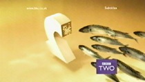 BBC Two yellow 'Mackerel' ident (8K)