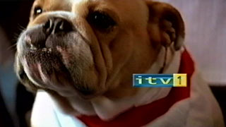 Euro 2004 England Break Bumper (13K)