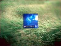Scottish grass (5K)