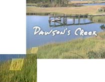 What's that lurking on the banks of Dawson's Creek? (11K)